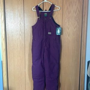 Schmidt Insulated Bibs